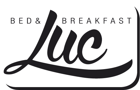 logo B&B Luce header